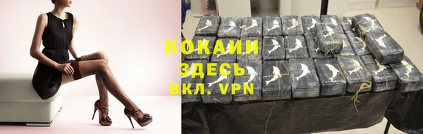 мет Дмитриев
