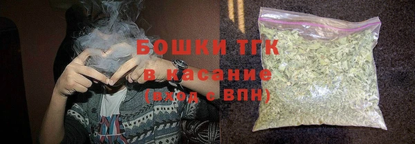 мет Дмитриев
