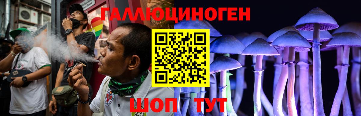 Галлюциногенные грибы ЛСД Урус-Мартан