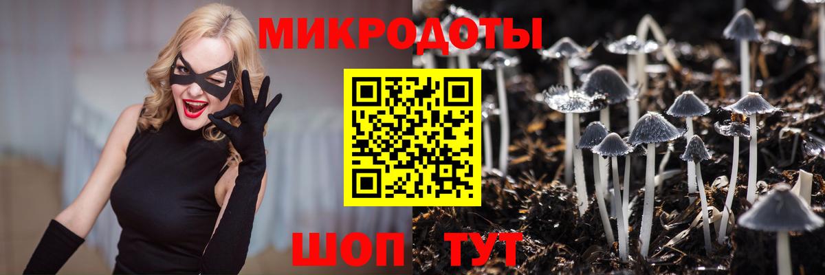 Урус-Мартан  Галлюциногенные грибы мицелий  Вход с VPN 